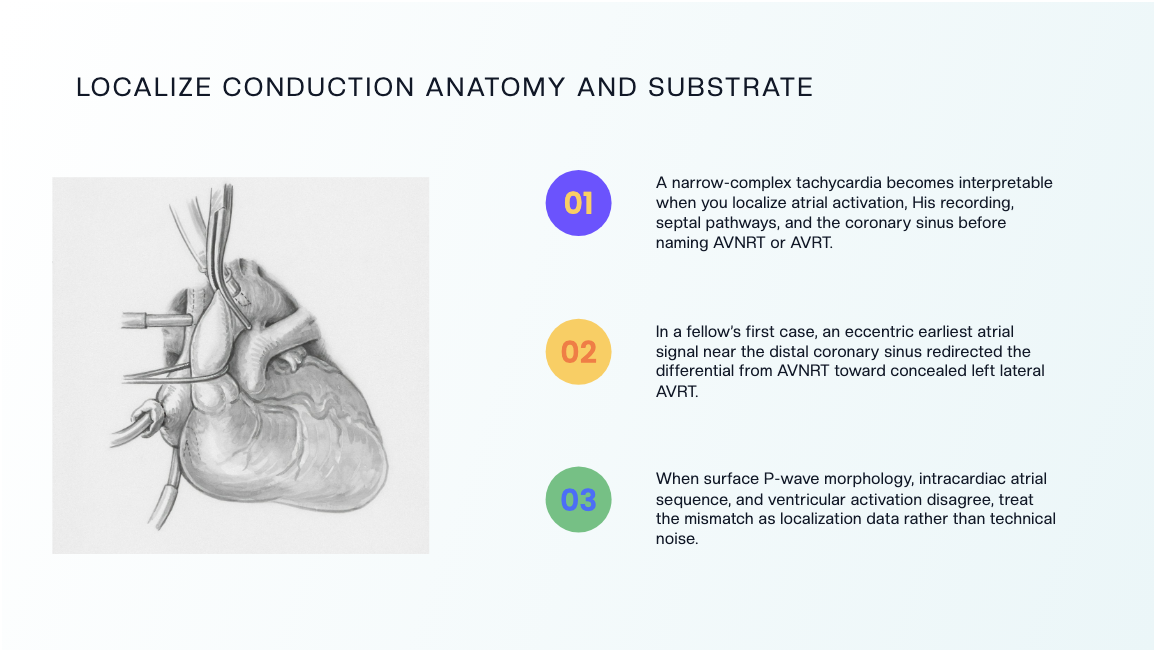 ChatSlide slide teaching how to localize conduction anatomy and substrate before naming AVNRT or AVRT